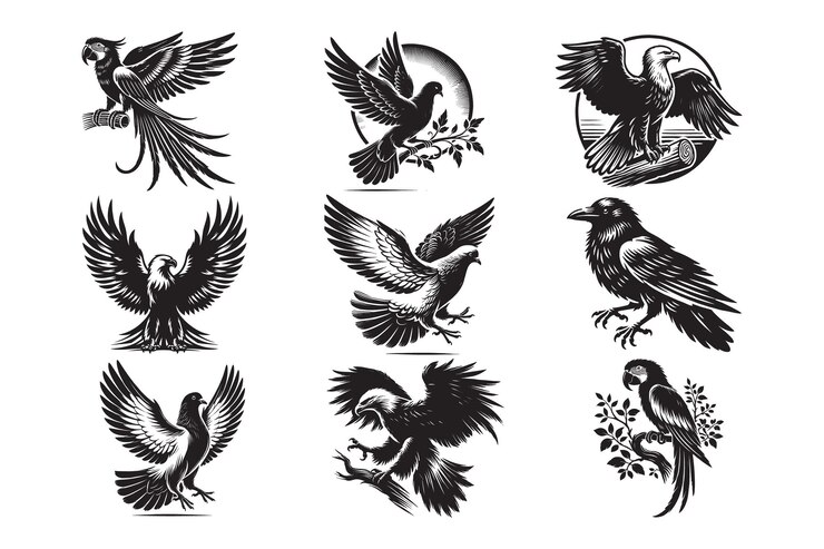 Colección de ilustraciones de arte vectorial con varias aves de presa