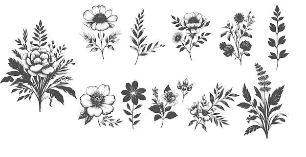 Una colección de ilustraciones botánicas dibujadas a mano de varias plantas