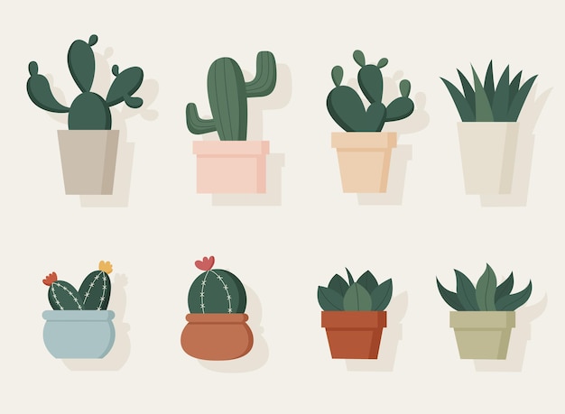 Colección de ilustraciones de cactus dibujadas a mano