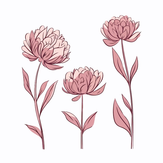 Colección de ilustraciones caprichosas de peonías en formato vectorial