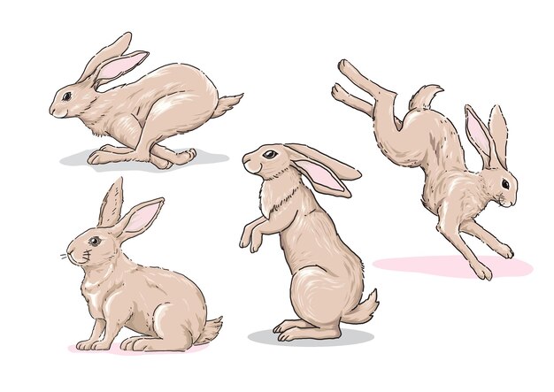Colección de ilustraciones de conejos bonitos dibujados a mano
