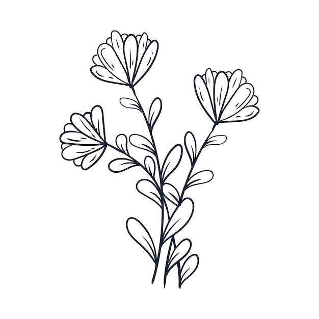 Colección de ilustraciones de contornos de flores simples dibujados a mano