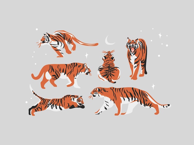 Colección de ilustraciones dibujadas a mano con tigres de vida silvestre