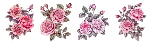 Colección de ilustraciones de dibujo a mano de rosas