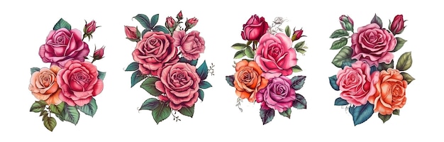 Colección de ilustraciones de dibujo a mano de rosas