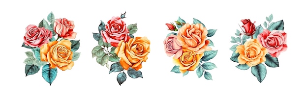 Colección de ilustraciones de dibujo a mano de rosas
