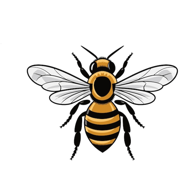 Una colección de ilustraciones estilizadas de abejas en un diseño plano moderno perfecto para la educación y la decoración