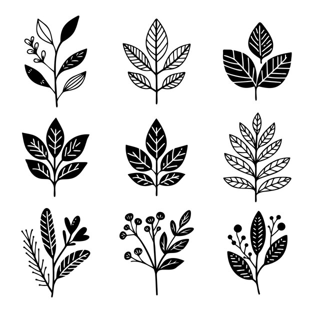 Colección de ilustraciones estilizadas en blanco y negro de hojas de arte boho