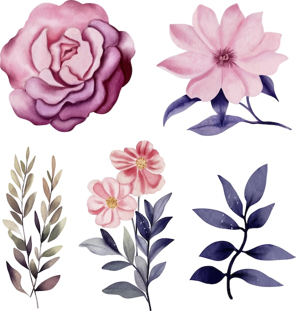 Vector colección de ilustraciones de flores en acuarela