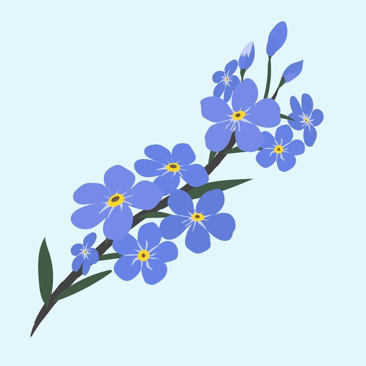 Vector colección de ilustraciones de flores