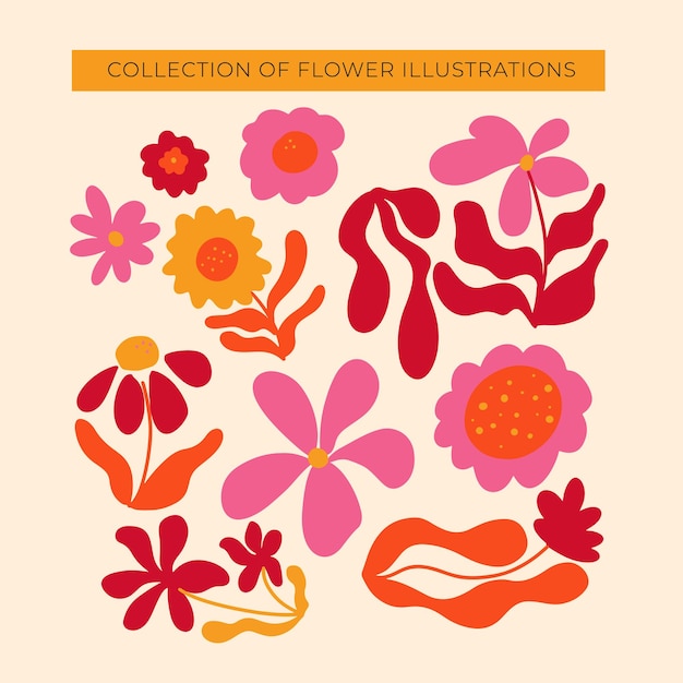 Colección de ilustraciones de flores