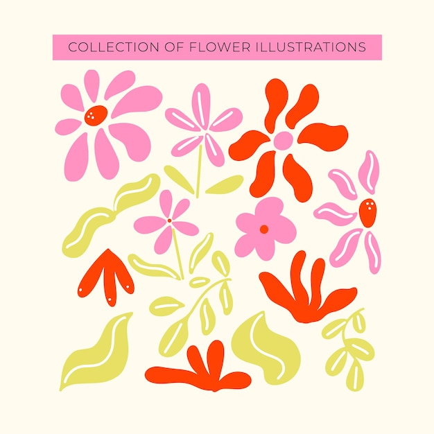 Colección de ilustraciones de flores