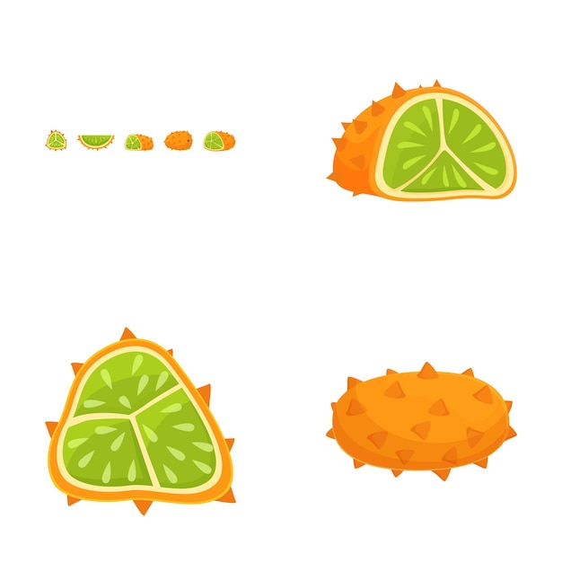 Colección de ilustraciones de frutas tropicales con diferentes vistas de kiwanos y limas