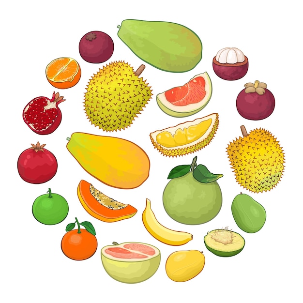 Vector colección de ilustraciones de frutas tropicales