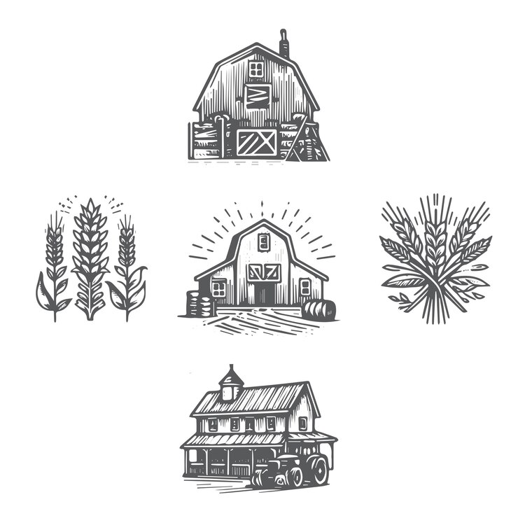 Colección de ilustraciones de graneros de granjas dibujadas a mano