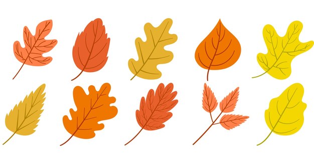 Vector colección de ilustraciones de hojas de otoño