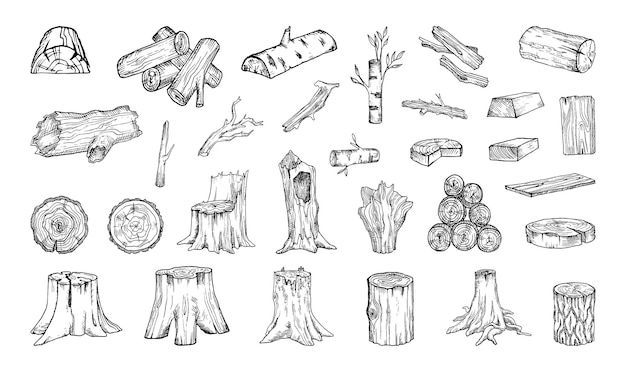 Colección de ilustraciones monocromas de materias primas de madera en estilo boceto
