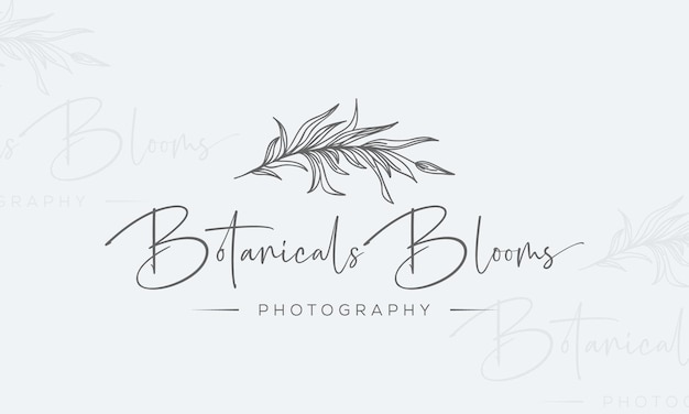 Colección de ilustraciones de paquetes de logotipos botánicos florales dibujados a mano para belleza, natural, orgánico Premium