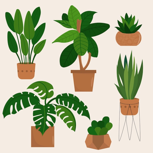 Colección de ilustraciones de plantas de interior