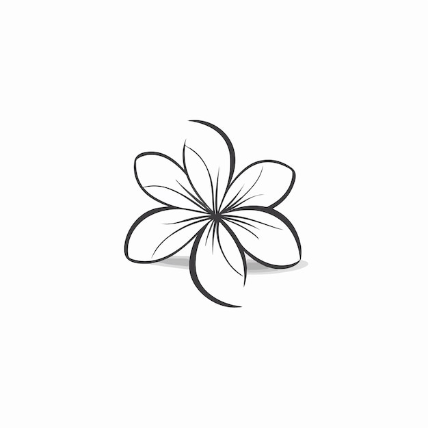 Una colección de ilustraciones de plumeria elegantes y minimalistas