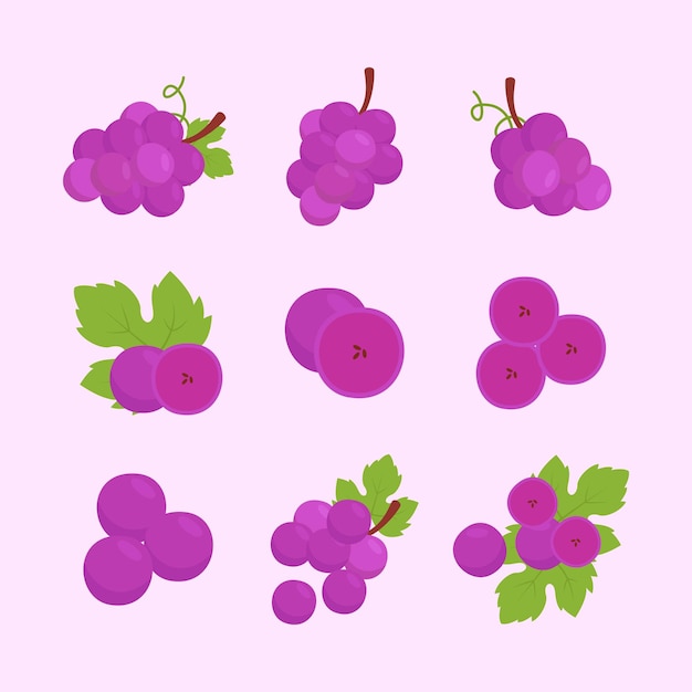 Colección de ilustraciones de uvas enteras y frescas dibujadas a mano