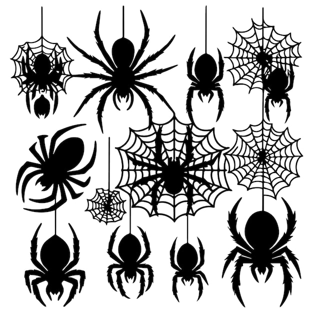 Colección de ilustraciones vectoriales de arañas de diferentes tipos de arañas aisladas en fondo blanco
