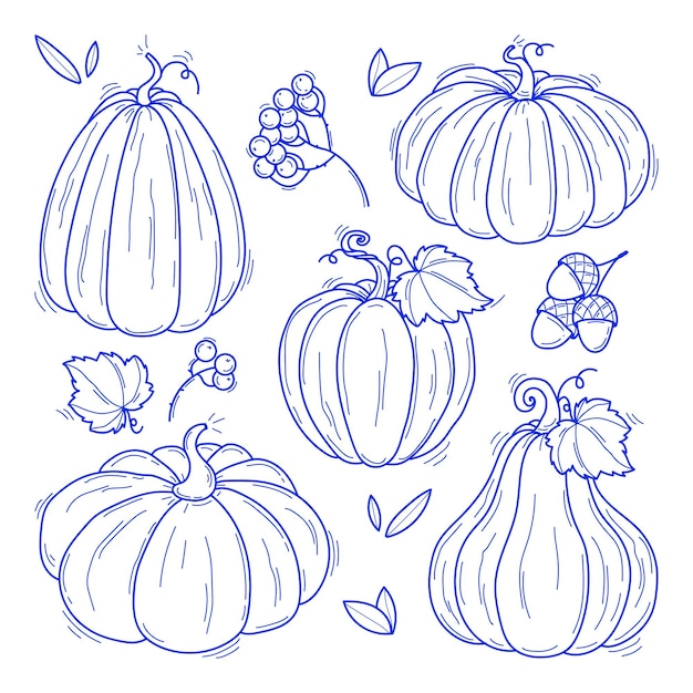 Colección de ilustraciones vectoriales de calabazas en blanco y negro dibujadas a mano Bocetos de plantas Perfecto para recetas menú etiqueta icono embalaje Calabazas vintage contornos Conjunto botánico