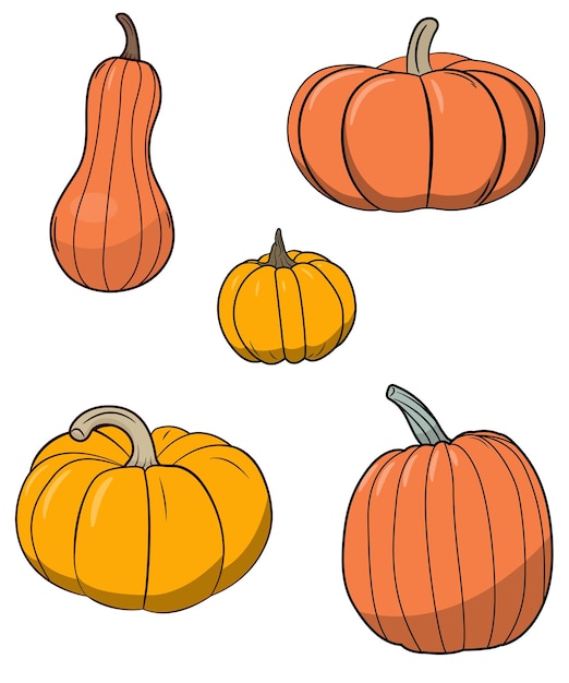 Una colección de ilustraciones vectoriales de calabazas