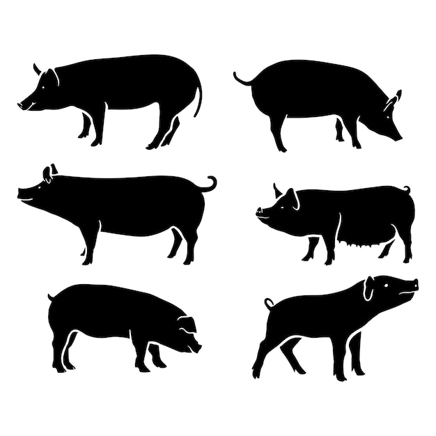 Colección de ilustraciones vectoriales de cerdos negros en silueta
