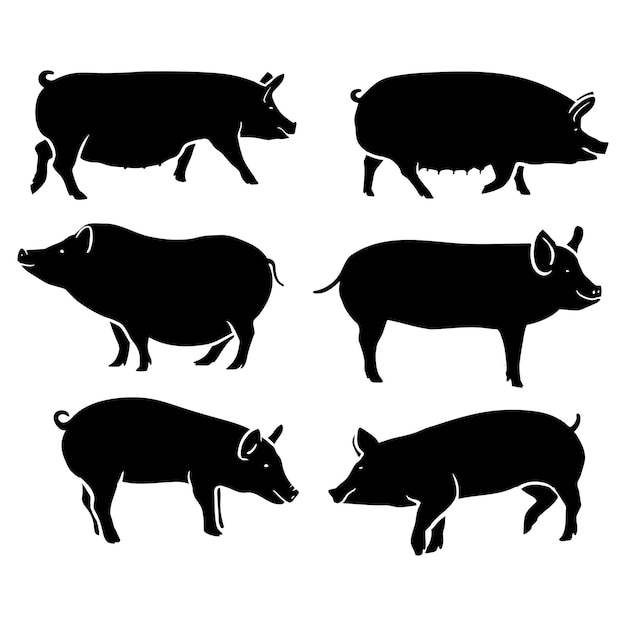 Colección de ilustraciones vectoriales de cerdos negros en silueta
