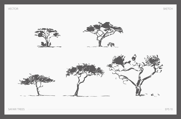 Vector colección de ilustraciones vectoriales dibujadas a mano de gran detalle del árbol de safari, dibujos realistas de acaci