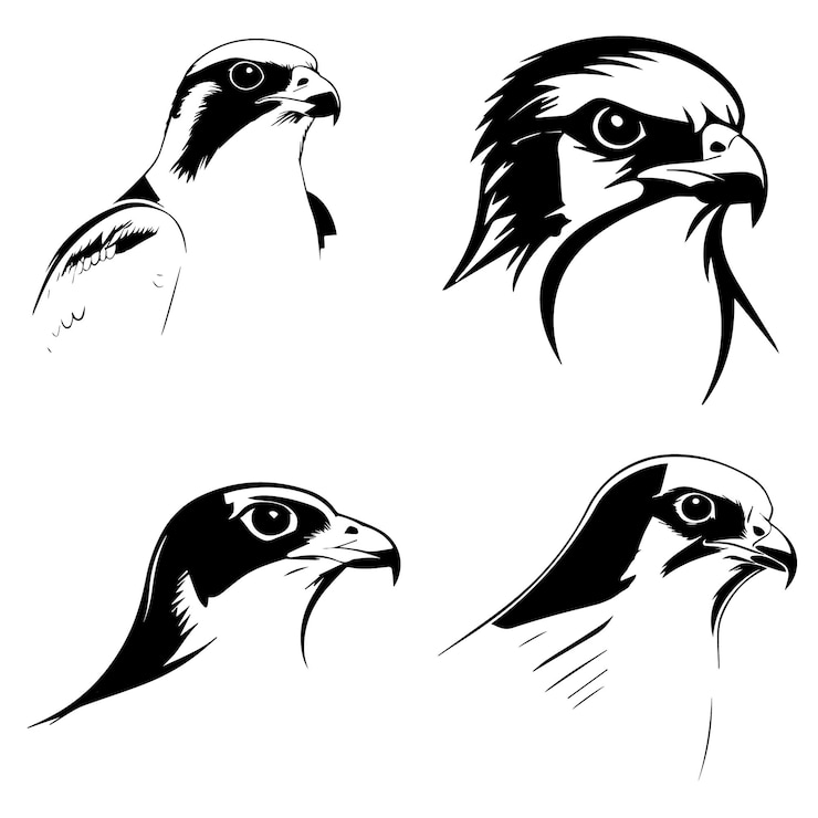 Vector colección de ilustraciones vectoriales con la silueta de la cara de un halcón peregrino