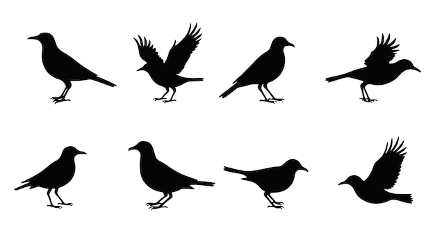 Colección de ilustraciones vectoriales de siluetas de pájaros