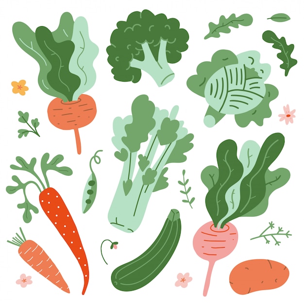 Colección de ilustraciones vegetales