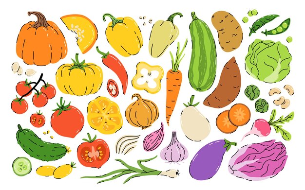 Colección de ilustraciones de verduras dibujadas a mano aisladas sobre un fondo blanco Conjunto de productos vegetarianos frescos y deliciosos de dieta vegana ingredientes de cocina de alimentos saludables Estilo de dibujos animados plano