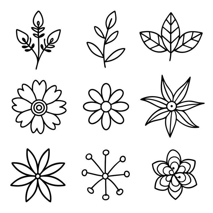 Vector una colección de imágenes en blanco y negro de flores y hojas