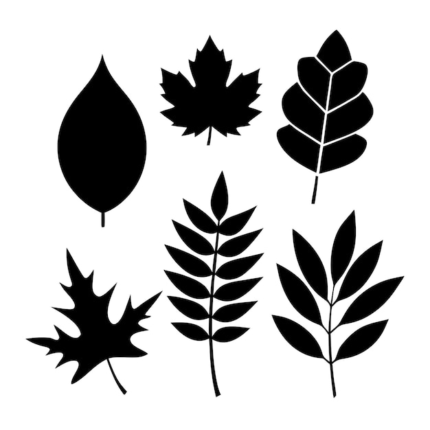 una colección de imágenes en blanco y negro de hojas y hojas