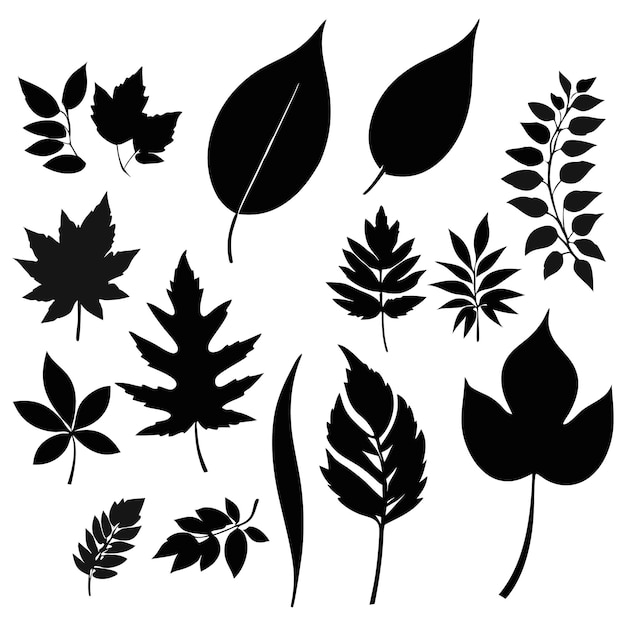 una colección de imágenes en blanco y negro de plantas y hojas