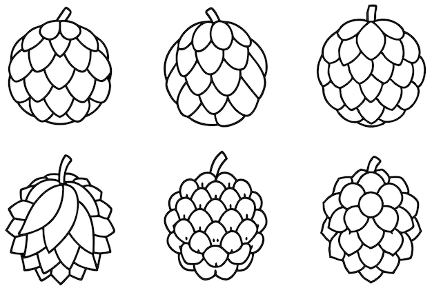 una colección de imágenes en blanco y negro de uvas con una línea de uvas en un fondo blanco