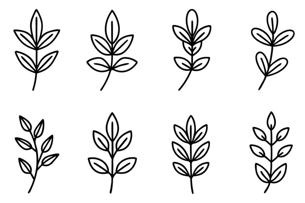 una colección de imágenes de plantas con las palabras " hoja " en ellas