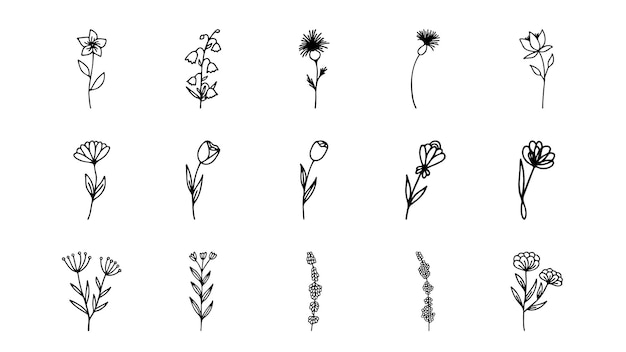 Colección de imágenes prediseñadas florales a base de hierbas dibujadas a mano Conjunto de vector de doodle de una línea