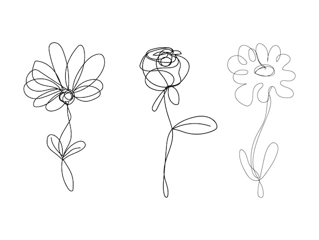 Colección de imágenes prediseñadas de hojas florales minimalistas