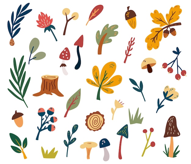 Colección de imágenes prediseñadas de plantas forestales. Árboles del bosque, hierbas, setas, flores, ramas, bayas, hojas. Dibujar a mano salvaje conjunto botánico. Ilustración de dibujos animados de vector. Aislado en el fondo blanco.