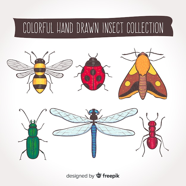 Vector colección de insectos dibujados a mano