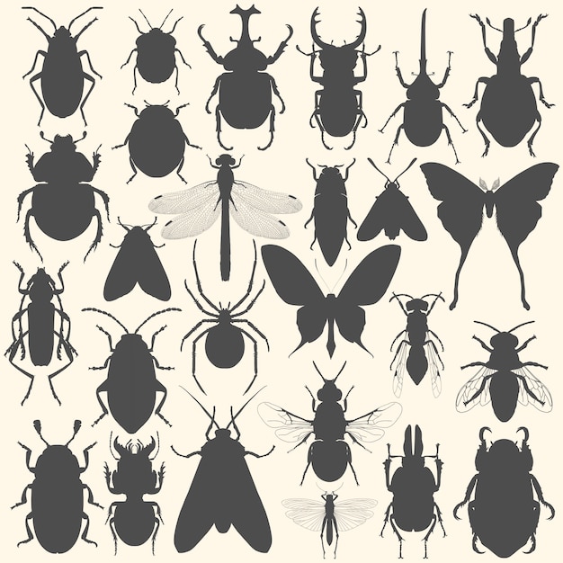 Una colección de insectos en una ilustración de arte vectorial de fondo beige