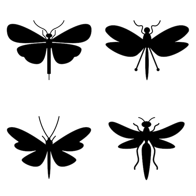 Colección de insectos Insectos antiguos Período Jurásico