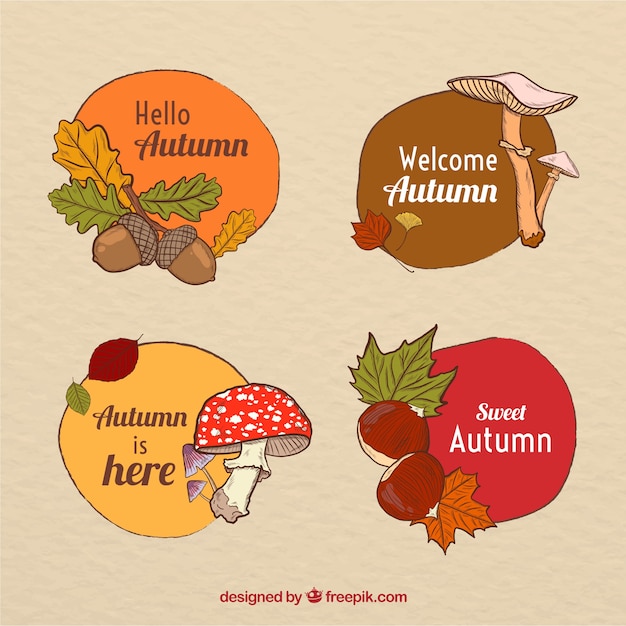 Colección de insignias de otoño en estilo hecho a mano