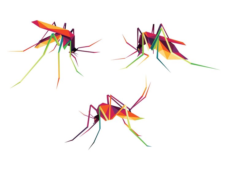 Colección de juegos de logotipos poligonales coloridos de mosquito Mosquito polivector bajo