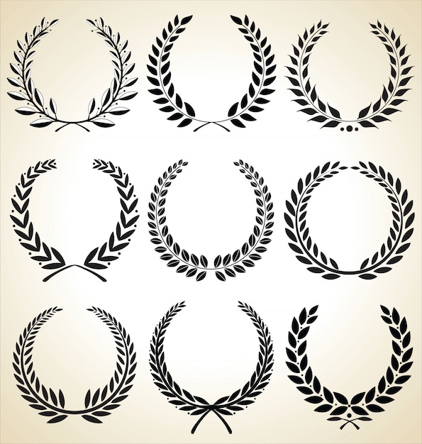 colección de laurel