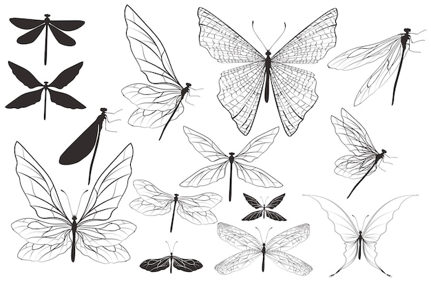 Colección de libélulas y mariposas vectoriales para el diseño